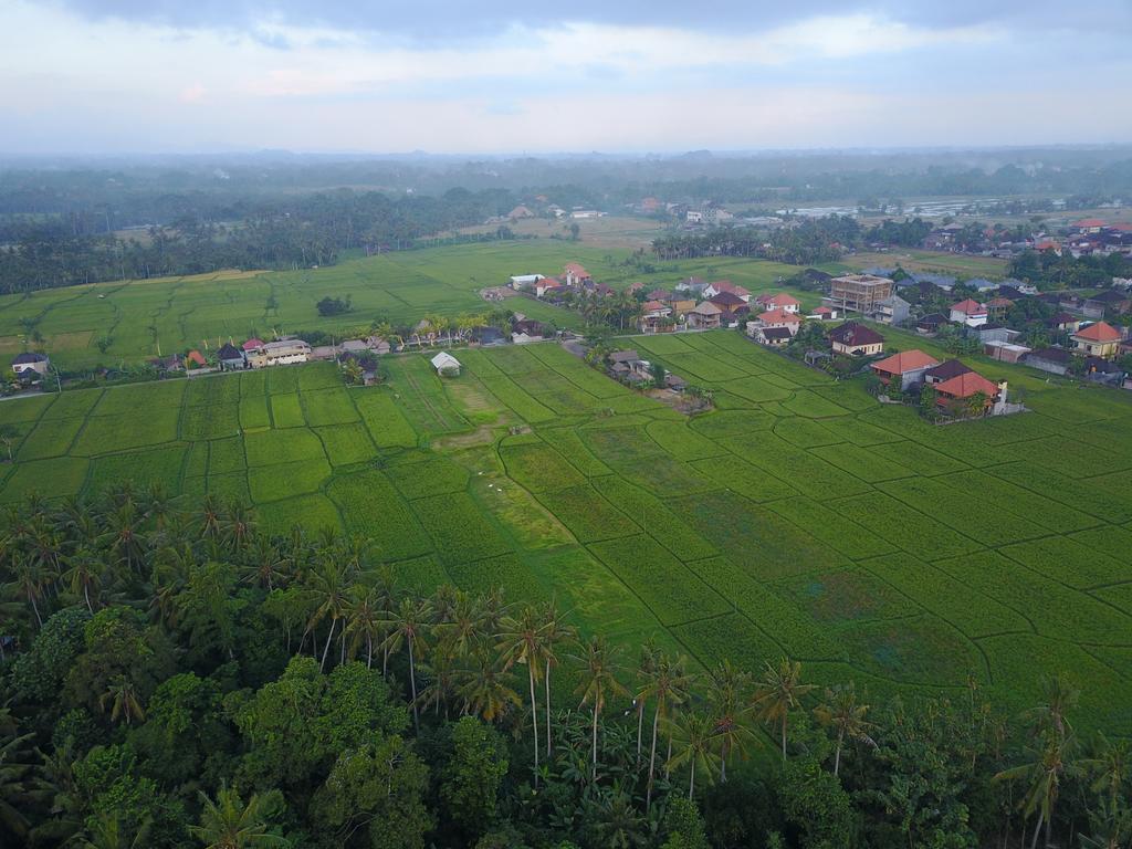 Hotel Pangkung Sari Ubud Exterior foto
