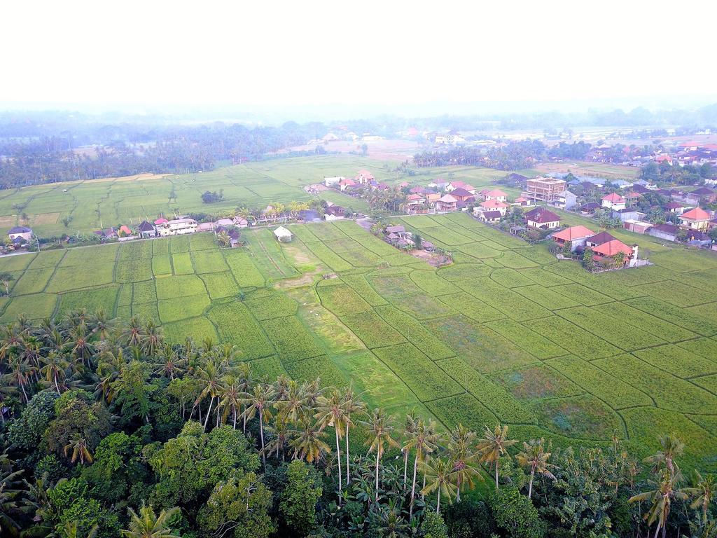 Hotel Pangkung Sari Ubud Exterior foto